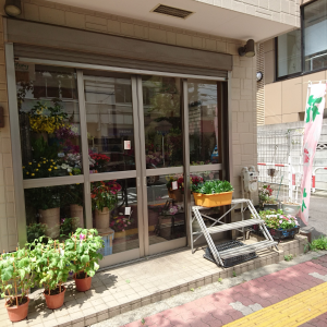 石楠花花店