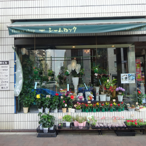 カテゴリ 花 園芸 検索結果 新宿ルーペ 新宿区商店会連合会 公式サイト