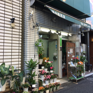 富士生花店