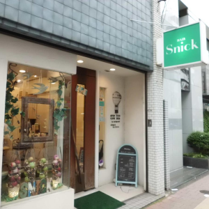 ヘアースニック