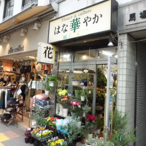 カテゴリ 花 園芸 検索結果 新宿ルーペ 新宿区商店会連合会 公式サイト