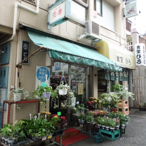 カテゴリ 花 園芸 検索結果 新宿ルーペ 新宿区商店会連合会 公式サイト