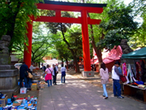 花園神社青空骨董市