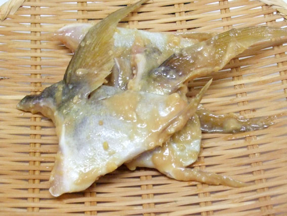 しまあじカマ、人気です！