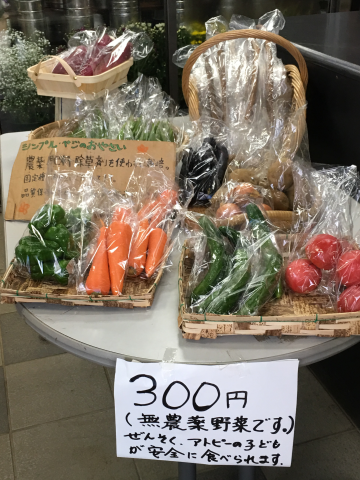 シンプルベジ入荷