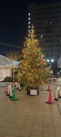 クリスマスツリー