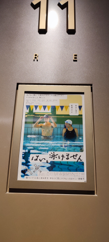 はい泳げません